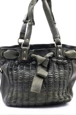 Torba łuski – Oliwka, Duży